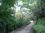 20060902b.jpg