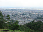 20060902c.jpg