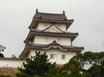 20061024a.jpg