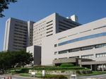 20070308a.jpg