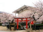 20080401a.jpg