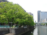 20090503b.jpg