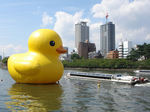 20090914a.jpg