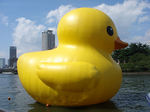 20090914b.jpg