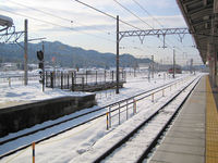 20110205-02.jpg