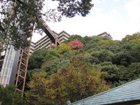 20111122-03.jpg