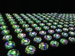 20131110-10.jpg