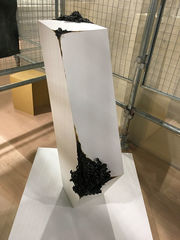 20180304-33.jpg